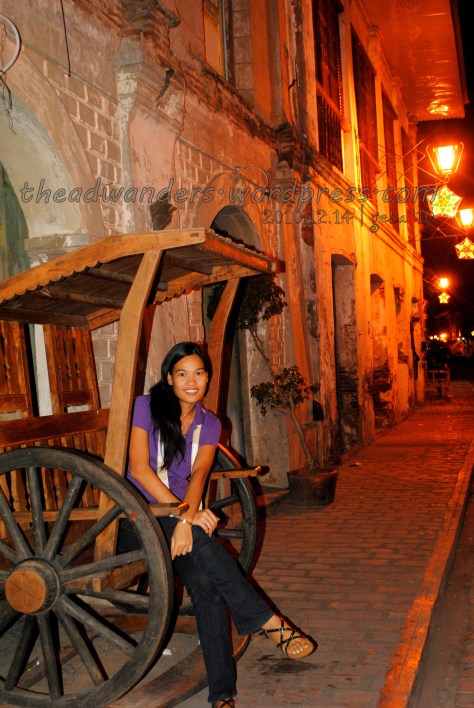 Ala horse-drawn carriage part 2!