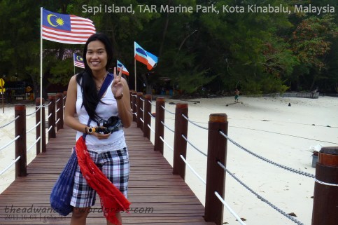 Hello Sapi! I survived!