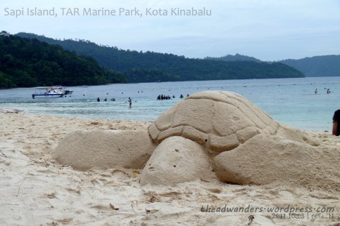 Biggest turtle...ever!