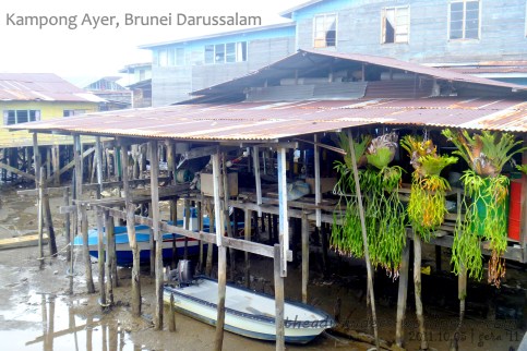 Typical House Structure