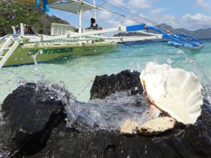 Star of the Day! Everyone took turns in "styling" and photographing this shell!
