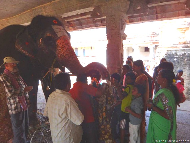My 25th in Travel - February Lakshmi blessing at Virupaksha Temple in Hampi