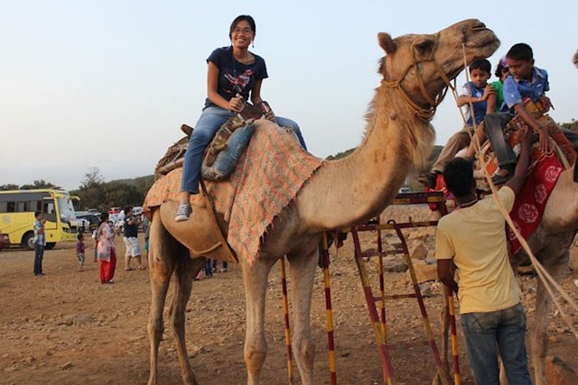 My 25th in Travel - May Camel Ride at Lonavala