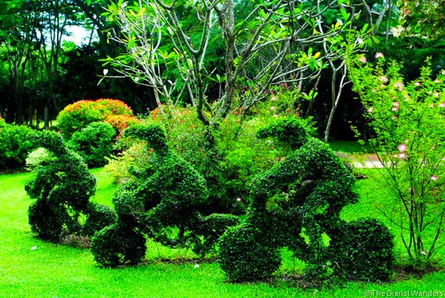 Bicycle Topiary