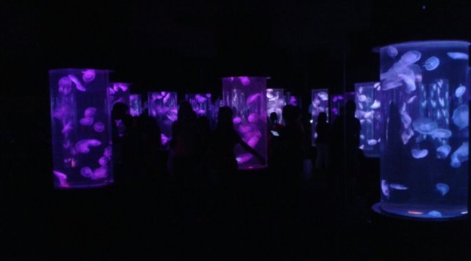 FotoFolio: Manila Ocean Park