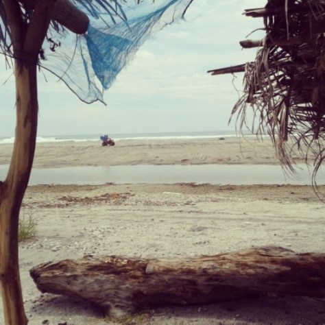 IMG_20130803_130638.jpg image