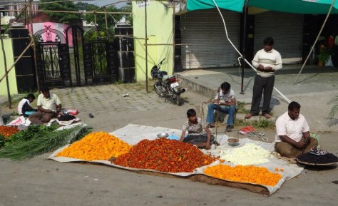 everlasting and marigold