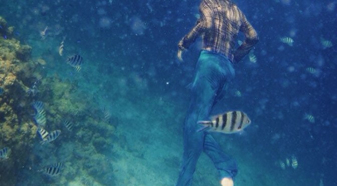 #100Days Photo 38: Under the Sea, El Nido, Palawan, Philippines